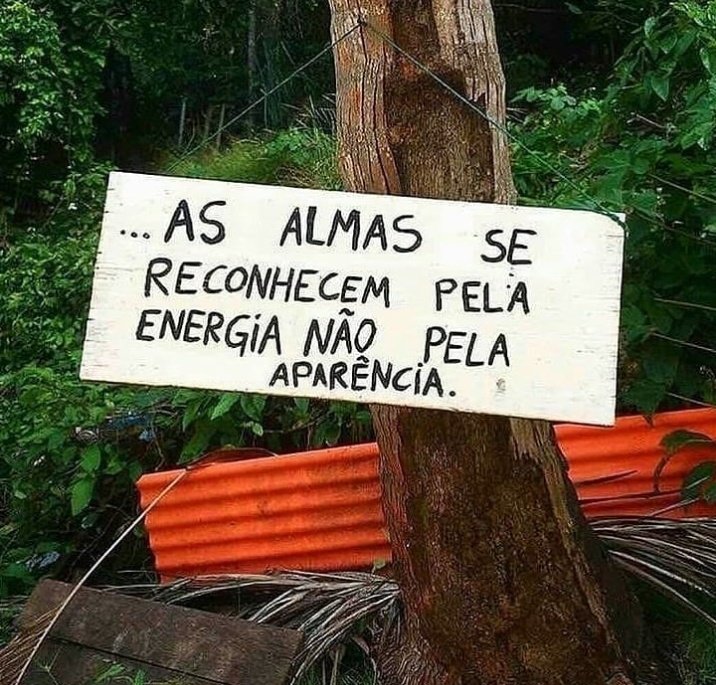 sobreteucaos's tweet photo. https://t.co/jljDk76PX0
