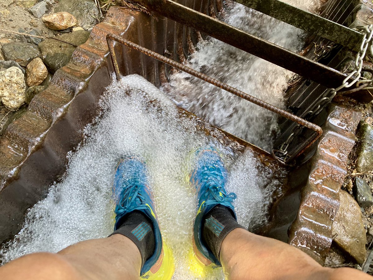 fu_ji_q's tweet photo. 今日の打見山トレランの相棒は @hoka_japan
さんのキャンペーンでいただいた
#speedgoat5 🏃⛰️
今日も抜群の安定感でした!😊 https://t.co/jL7bOpFRDG