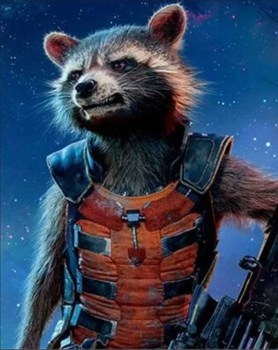 ChickenNuggss18's tweet photo. Not sure if this is known, but Roxkets suit and scars have the same exact design. 

#MCU #GuardiansOfTheGalaxyVol3 #RocketRaccoon @JamesGunn https://t.co/GRY33VsADf