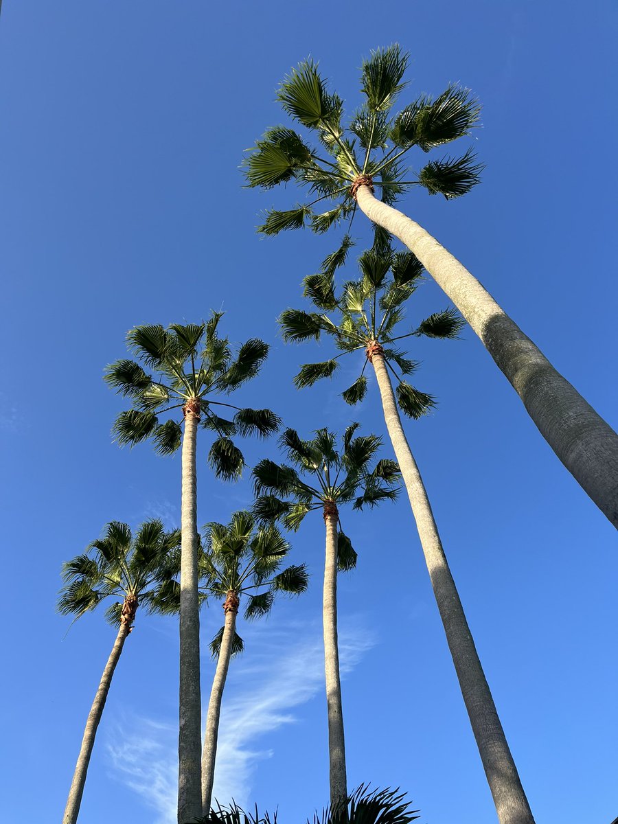 Kait Cresencia tweet media