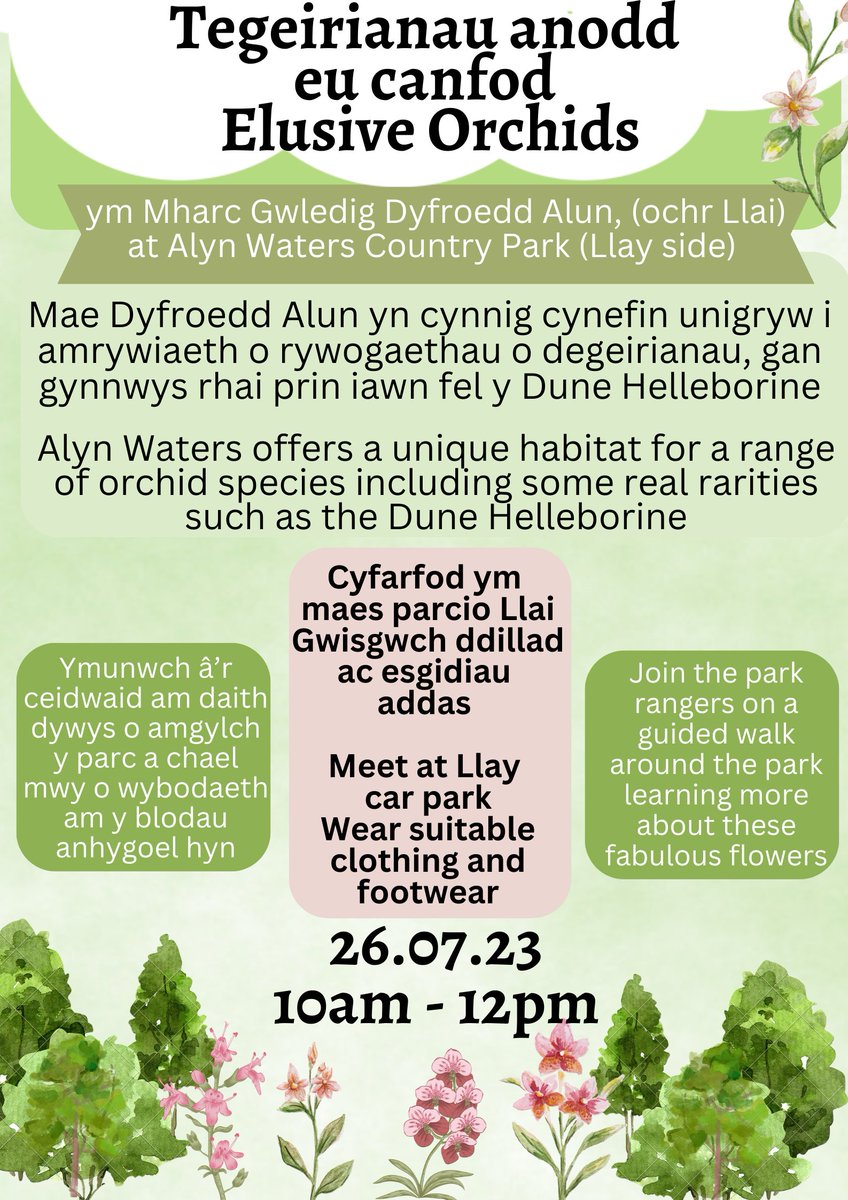 Alyn Waters offers a unique habitat for a range of orchid species including some real rarities such as the Dune Helleborine

Mae Dyfroedd Alun un cynnig cynefin unigryw i amrywiaeth o rywogaethau o degeirianau,gan gynnwys rhai prin iawn fel u Dune Helleborine