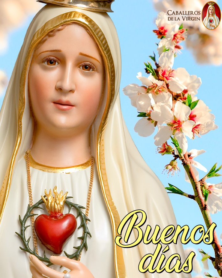 Cab_Virgen's tweet image. Buenos días.
Con una mirada tuya, Madre mía, podré enfrentar las batallas de mi día. Pongo todo en tus manos.