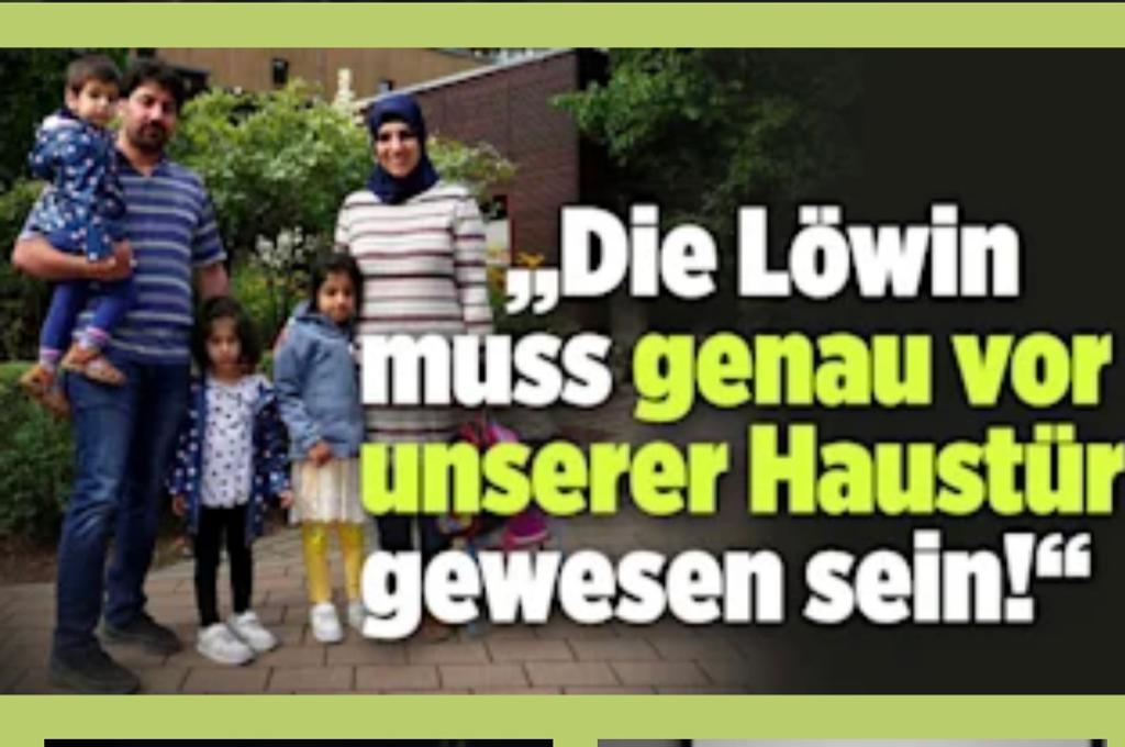 rainer_anders's tweet image. 