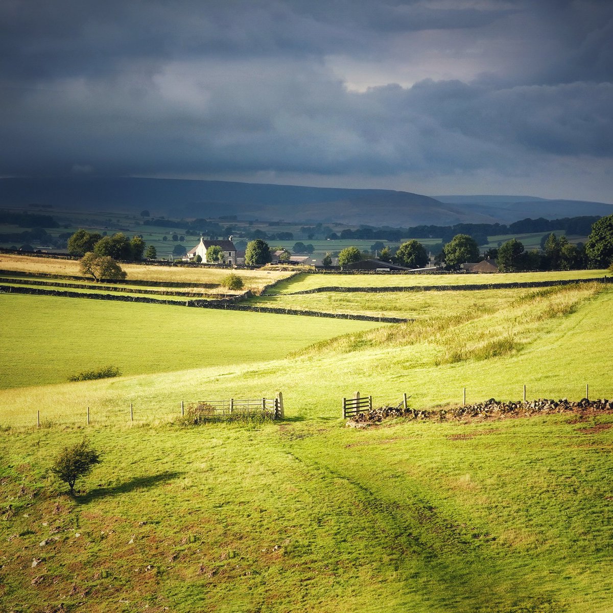 peaklass tweet media