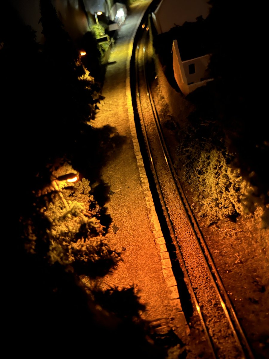 SouthWestMax tweet media