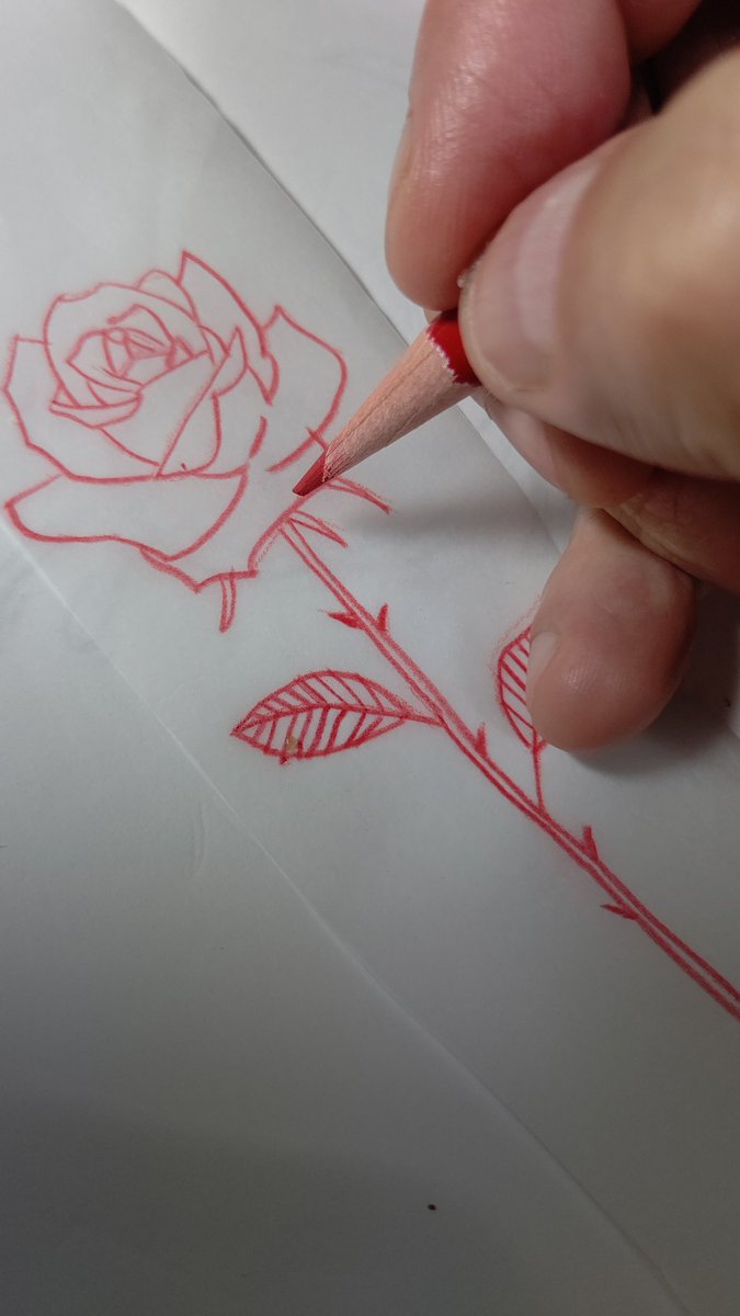 TBY_you's tweet photo. #赤鉛筆
#お絵描き
#バラ 🌹
デザイン
#タトゥーデザイン
#タトゥー
#刺青
#予約受付中
#アナログイラスト
#アナログ画
#赤鉛筆画
#バラデザイン
#tattoodesign
#drawing
#sketch
#tattoostudio
#rose
#rosedesign https://t.co/0MGfgSeF1g