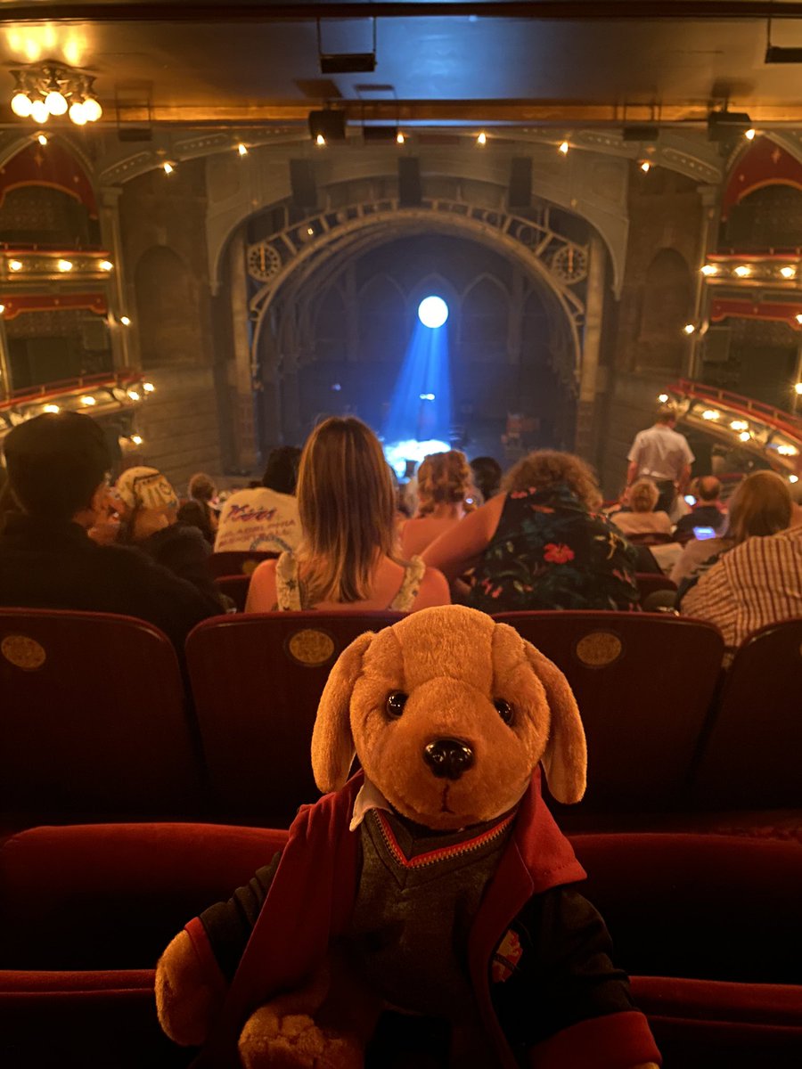 Senofer Mendoza tweet media