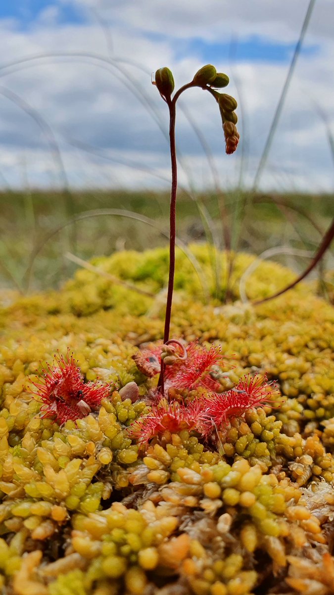 Beth Thomas tweet media