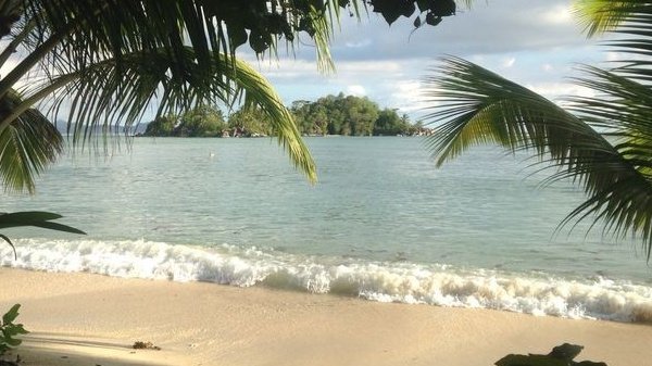 moodyonmoon's tweet photo. 🌊🌴☀️ https://t.co/kzm8fP4In9