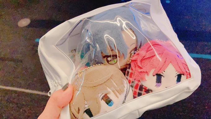 この状態のぬいたちにまほステを見せてやっていました ポップコーンしか見えなかったかも ごめんね