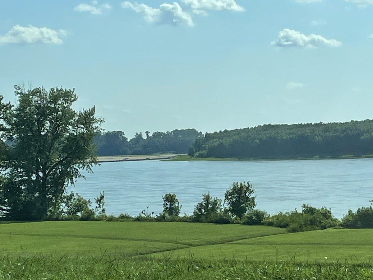 Kelly A. Andrews Ed. D. tweet media