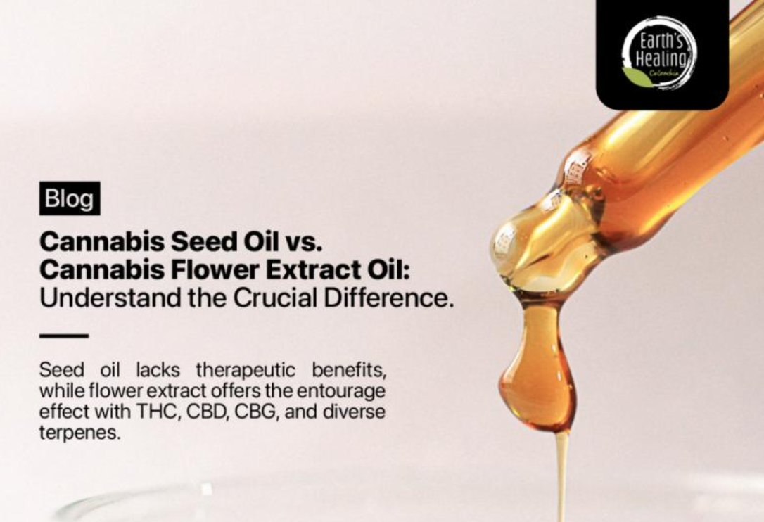 Cannabis seed oil vs. Cannabis flower extract oil - understanding the crucial difference

earthshealingcolombia.com/cannabis-seed-…

#cannabis #cnlt #cannaland #cannabisseedoil #fullspectrumoil