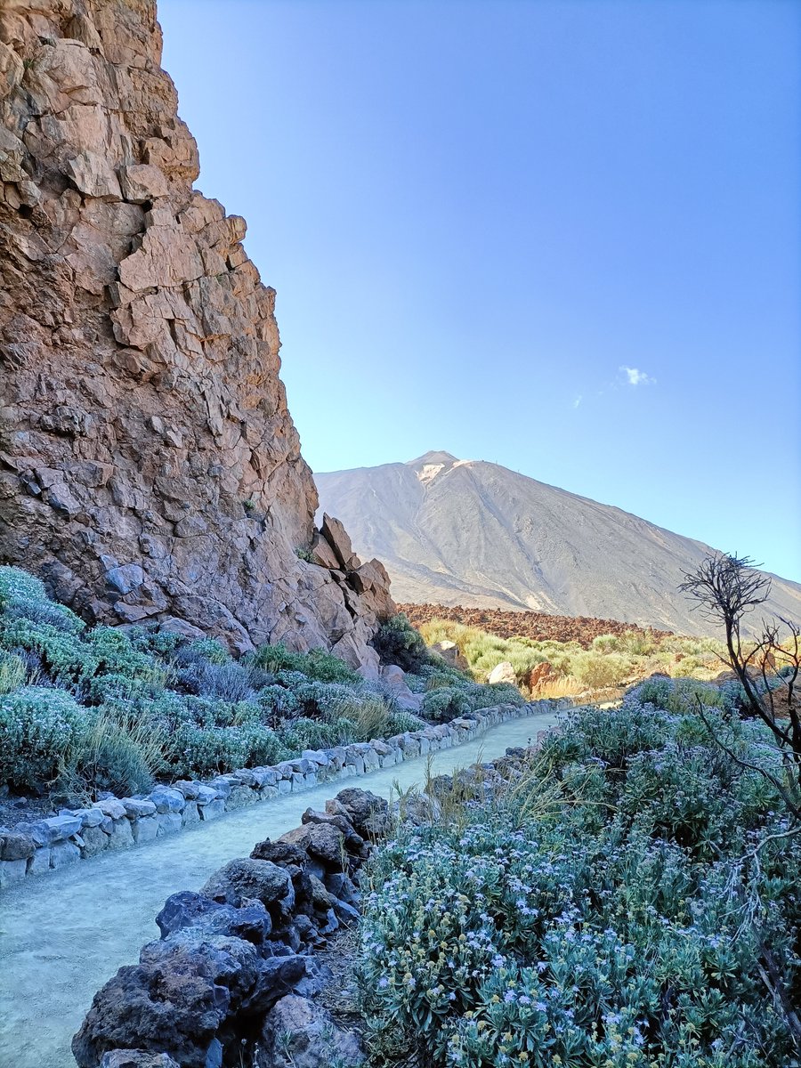 Marisol González Bermúdez tweet media