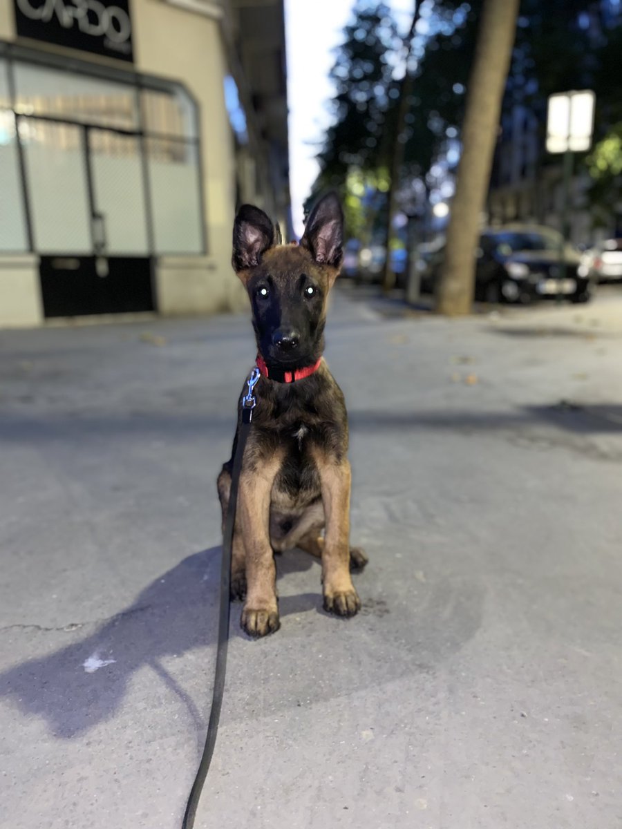 Il est photogénique mon fils 😅🥰