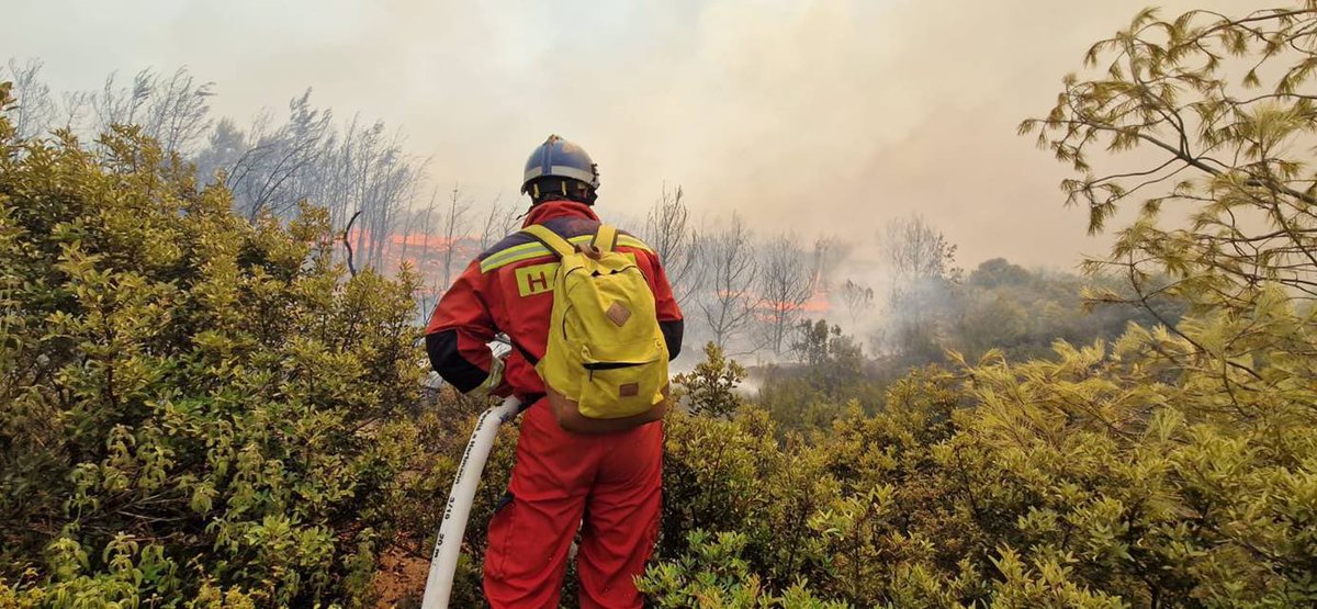 eu_echo's tweet photo. Emergency services are battling fierce wildfires, as Greece faces the longest heatwave on record.

To support them, we have deployed over 450 firefighters and 7 planes from Bulgaria 🇧🇬, Croatia 🇭🇷, Cyprus 🇨🇾, France 🇫🇷, Italy 🇮🇹, Malta 🇲🇹, Poland 🇵🇱, Romania 🇷🇴 and Slovakia 🇸🇰. https://t.co/UjX5WsjSyj