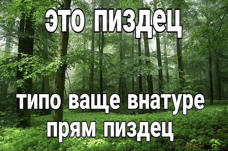 Я не умер, если что