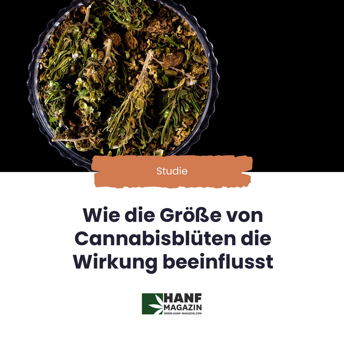 hanfmagazin's tweet photo. Im Gegensatz zum noch recht neuen Verdampfen von Hanf mit dem Vaporizer ist das Rauchen und Inhalieren bisher kaum Gegenstand von wissenschaftlichen Studien.
https://t.co/shsNV5xq5z
#hanfmagazin #cannabiskonsum #cannabisforschung #cannabisstudie #verdampfen #inhalieren https://t.co/rPq0qU909D