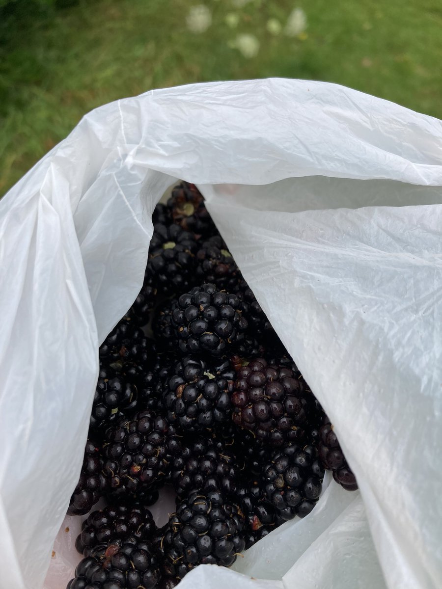 Lucy Antal tweet media