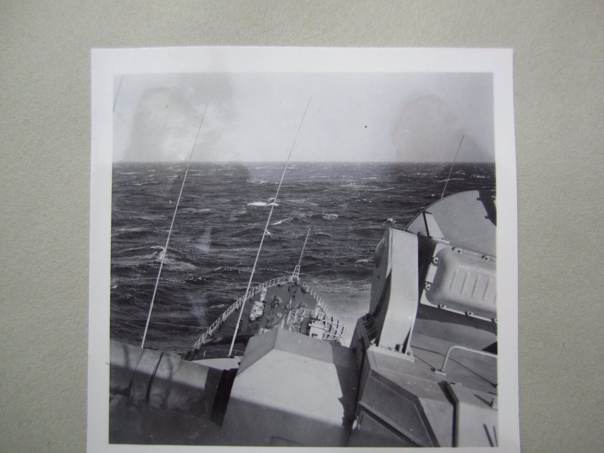 Alfi de Booy tweet media