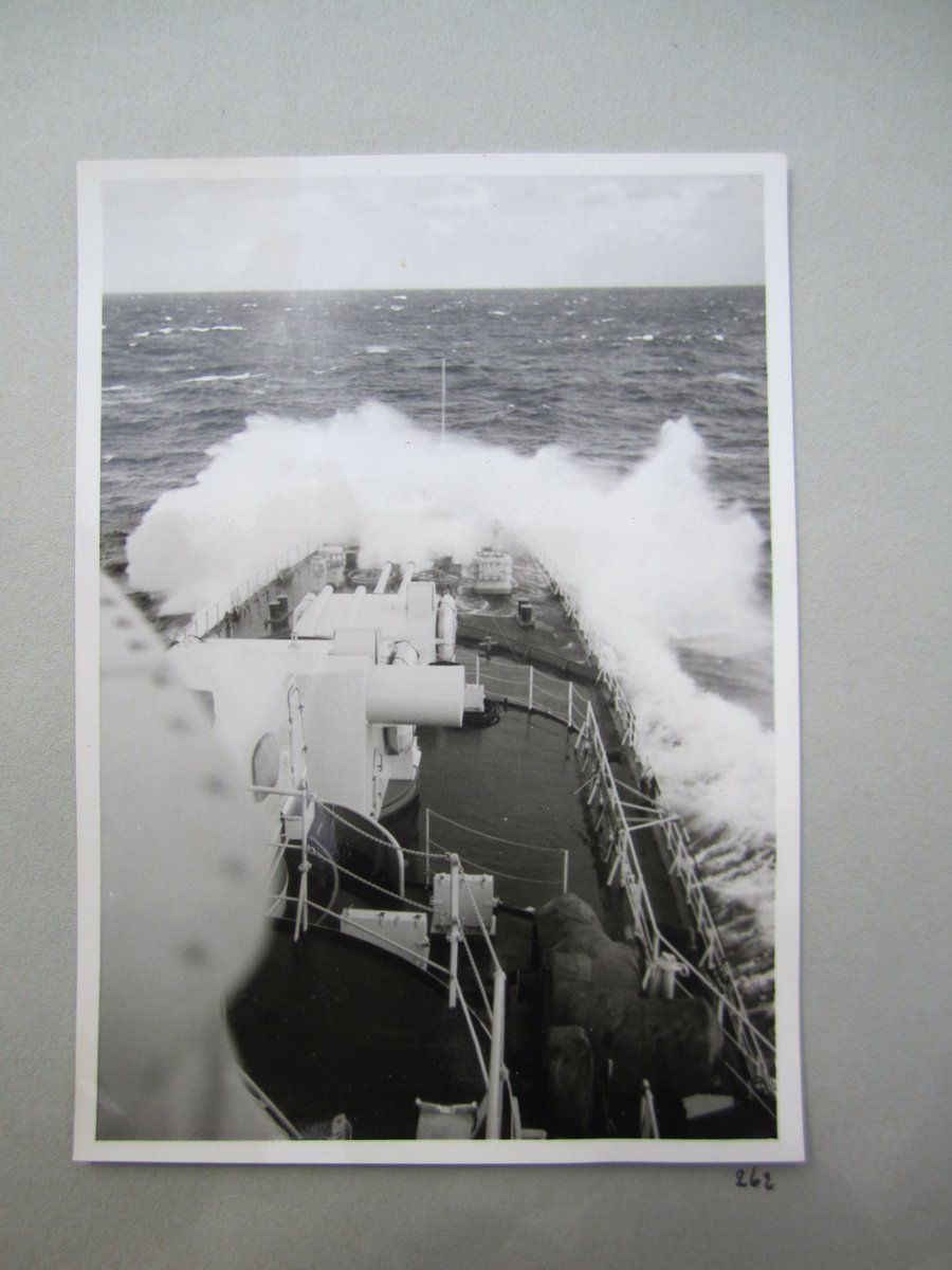 Alfi de Booy tweet media