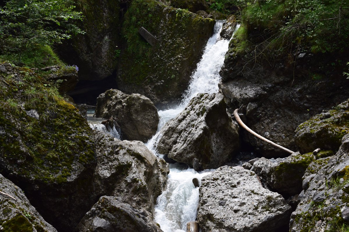 SamuelMarent's tweet image. pictures