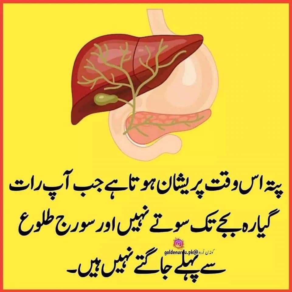 WasifMirza's tweet photo. @IESCO_Official @AAHashmi2016 برائے مہربانی ایک تصویر ایک پیغام  کے ذریعے پیغام  پہنچائیں۔ مثال کے طور پر یہ تصویر ( یہ تصویر جنہوں نے بنائی ہے ان کا شکریہ) https://t.co/uLLFK1nr8f