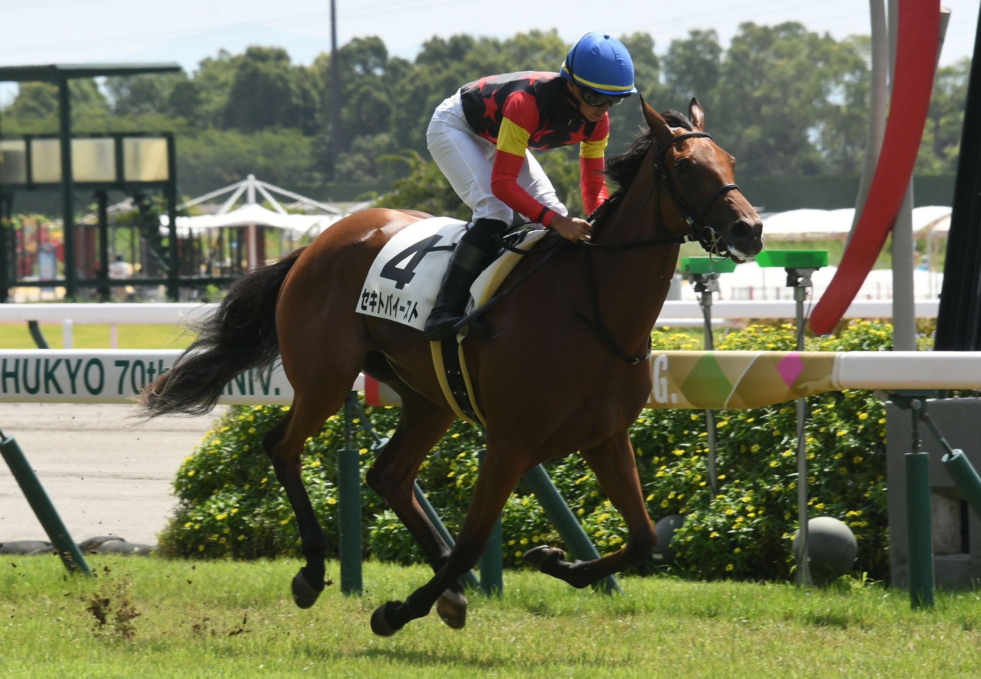 群馬の古城　中東毛編 / 　他合計3点 群馬の古城 中東毛編 / 他合計3点 堀尾 典正 | Shutokō Battle