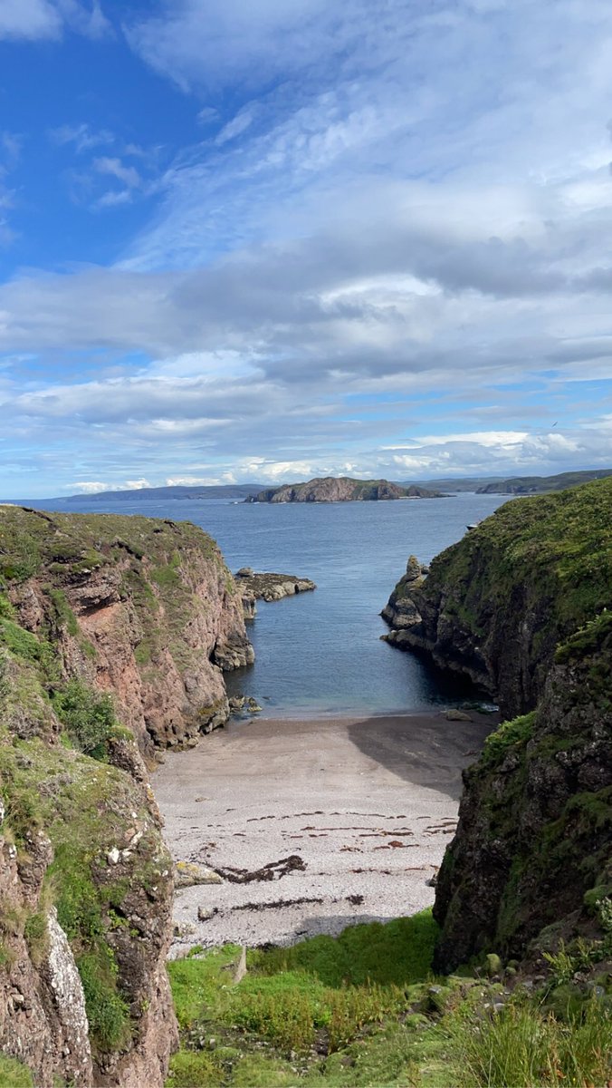 LydiaFarnell's tweet photo. Working alongside second and third year Harper Adams University students, as well as the RSPB and the Shropshire Ringing Group for the last week. 

While ringing the storm petrels, morphometric data was collected to improve the recording of age and sex. https://t.co/m08DT21AUF