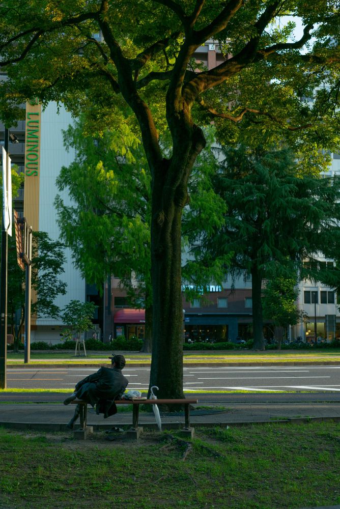 In the city at dusk, with street trees tall, A man finds solace 'neath their gentle sprawl.
#Leica #広島 #photo #写真 #写真好きな人と繋がりたい #photography #写真撮ってる人と繋がりたい #写真で奏でる私の世界 #ファインダー越しの私の世界 #キリトリセカイ #HIROSHIMA