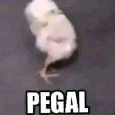 pls banget ini mah, namanya itu akun SHARING jadi stop OTAK ATIK anjir… yang make bkan kmu doang… kalau trouble yg kena semuanya cuy….