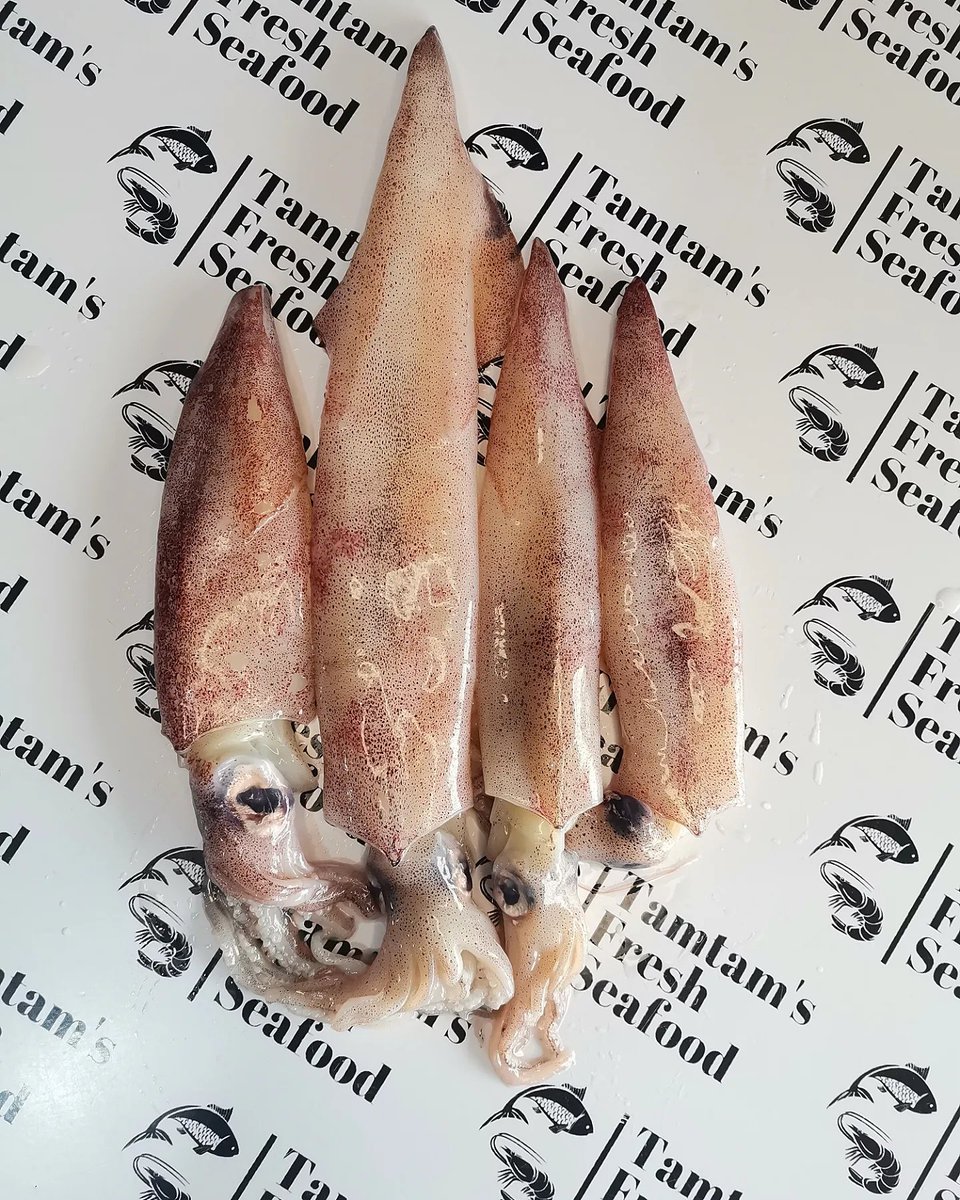Happy Sunday 🔆 Baby Squid available Kes 1100 per Kg (Yields 750 g after gutting and cleaning) Order via +254 721 639 601 FREE DELIVERY within South B and for Orders above 2 Kg (within Nairobi) #freshsquid #freshcalamari #seafoodmarket #seafoodshop #sundayvibes