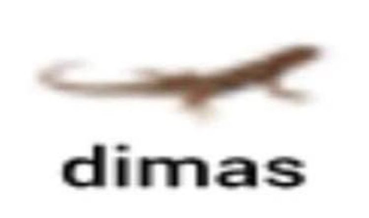 🅰️len | fsr wa | mt after dm (@alst4rs) on Twitter photo 