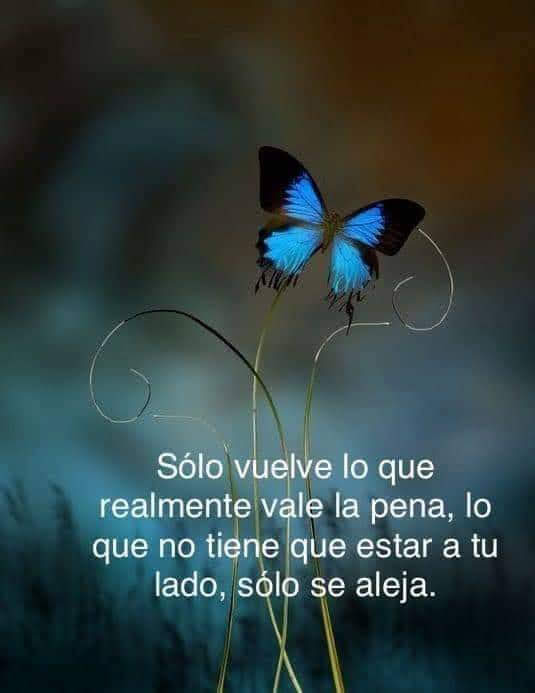 VidaEquilibrada (@vidaequilibrad4) on Twitter photo 