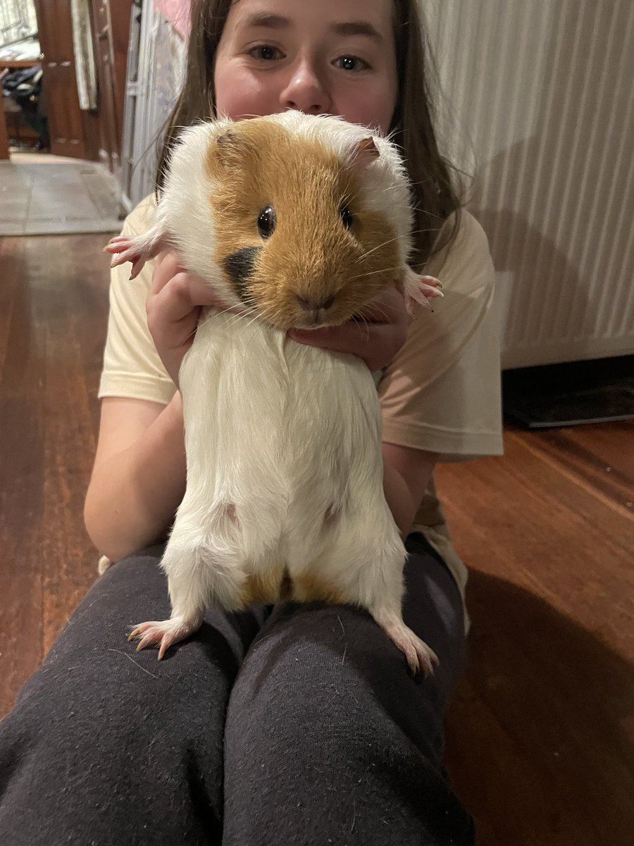 Meep Mama’s Sister tweet media