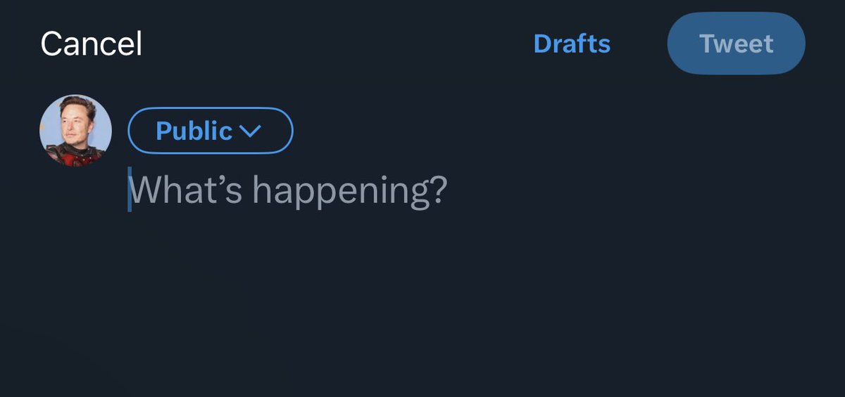 Not Elon Musk tweet media