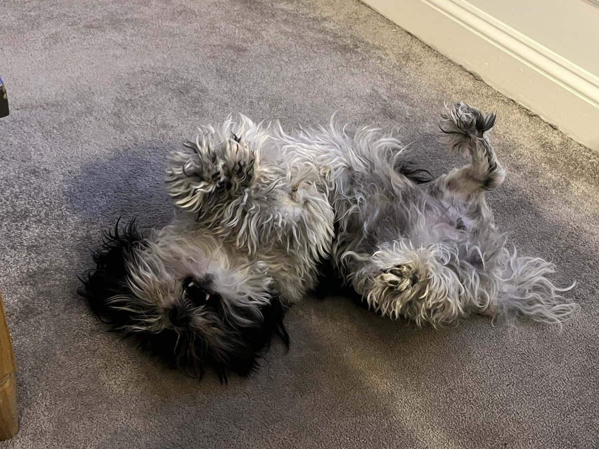 Tracy Borman OBE tweet media