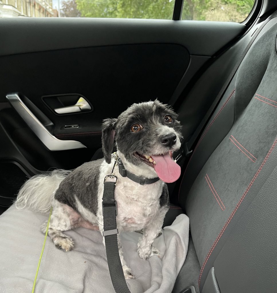 Tracy Borman OBE tweet media