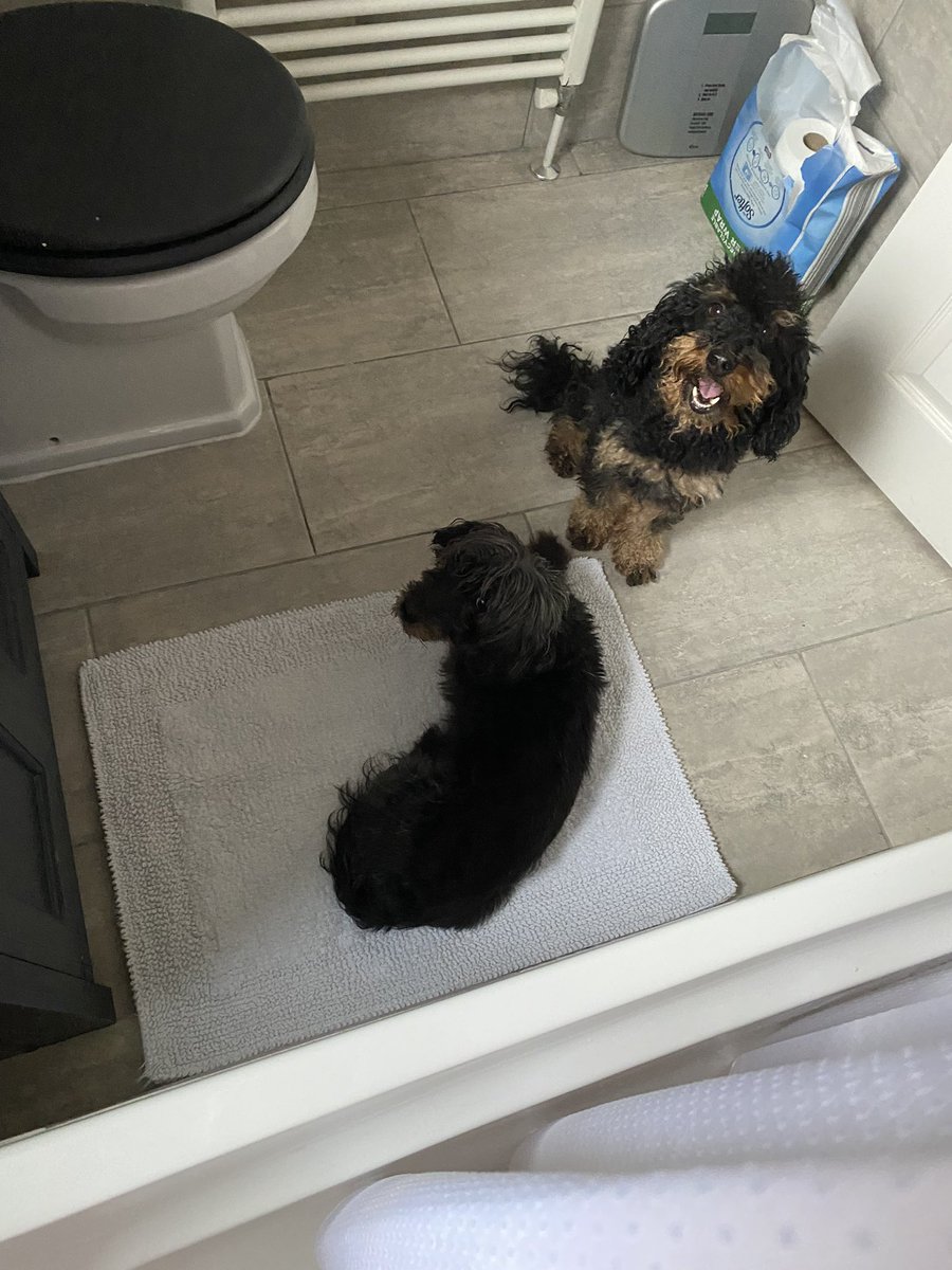 A bit of space would be nice…