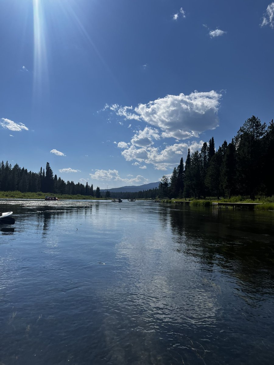 1ShannonMullin1's tweet image. What a beautiful day! ❤️ #idaho #idahome