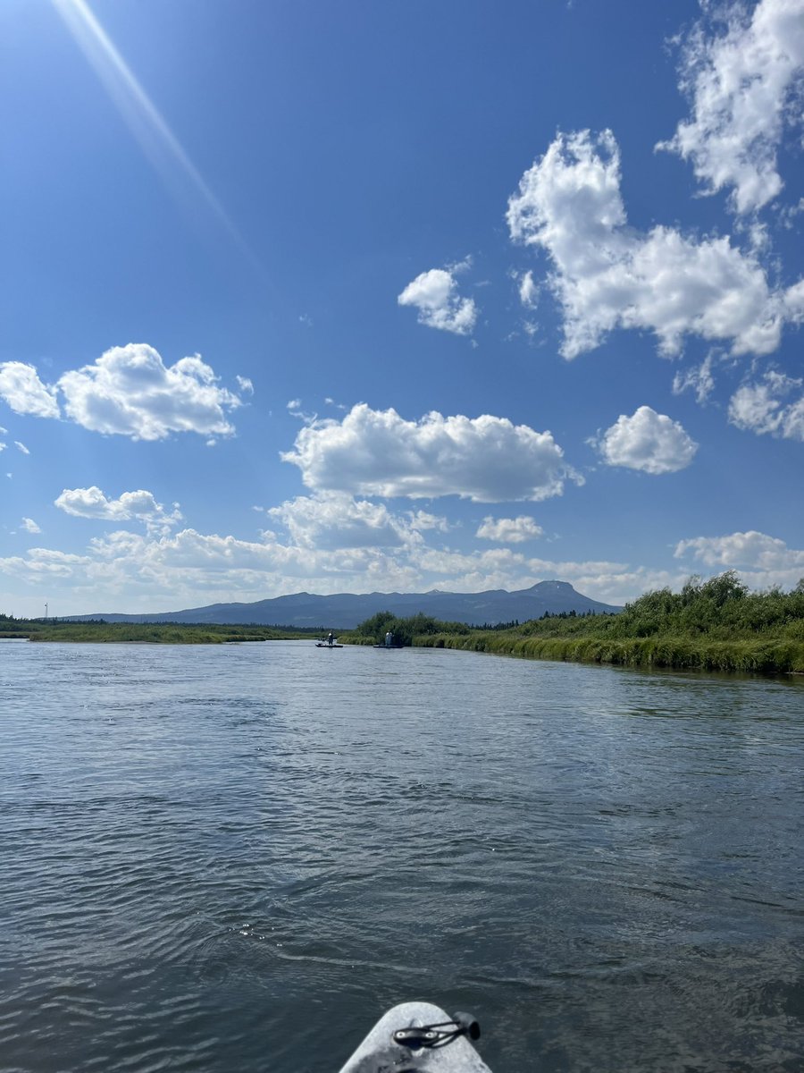 1ShannonMullin1's tweet image. What a beautiful day! ❤️ #idaho #idahome