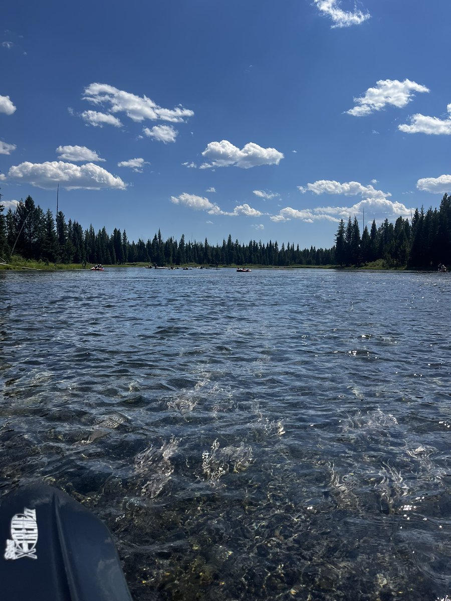 1ShannonMullin1's tweet image. What a beautiful day! ❤️ #idaho #idahome