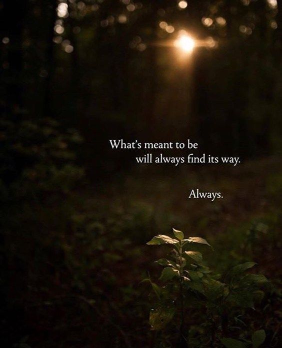 What's meant to be will always find its way. Always. #JoyTrain #Lightupthelove #LUTL #Inspiration #LifeIsGood #FactsMatter #Goldenhearts #Babygo #Thinkbigsundaywithmarsha