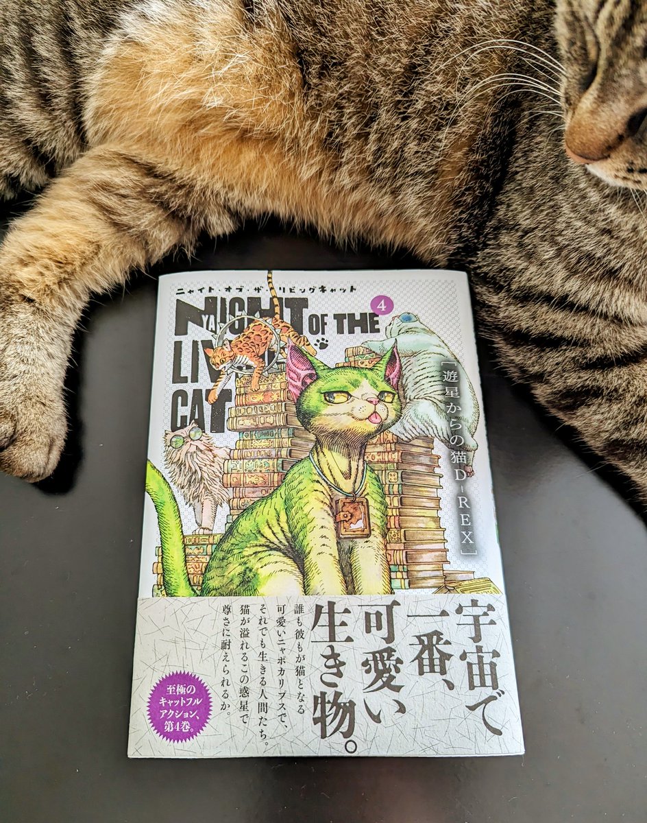 neokinoneko's tweet photo. #ニャイリビ4巻発売
文明崩壊後のホームセンターでサバイバルに必要なものを調達する系SFが大好きな人にはたまらニャイ内容となっておりました！きじちゃんも読んでます（賢いので） https://t.co/Y2zDo0Jsum
