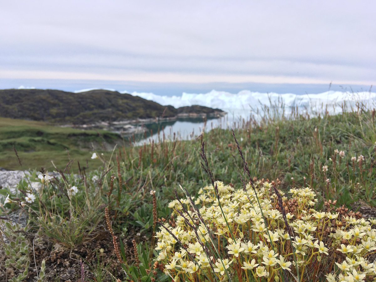 Just another day in the office…
#ATEMPO #fieldwork <a href="/Macroecology/">CMEC</a>