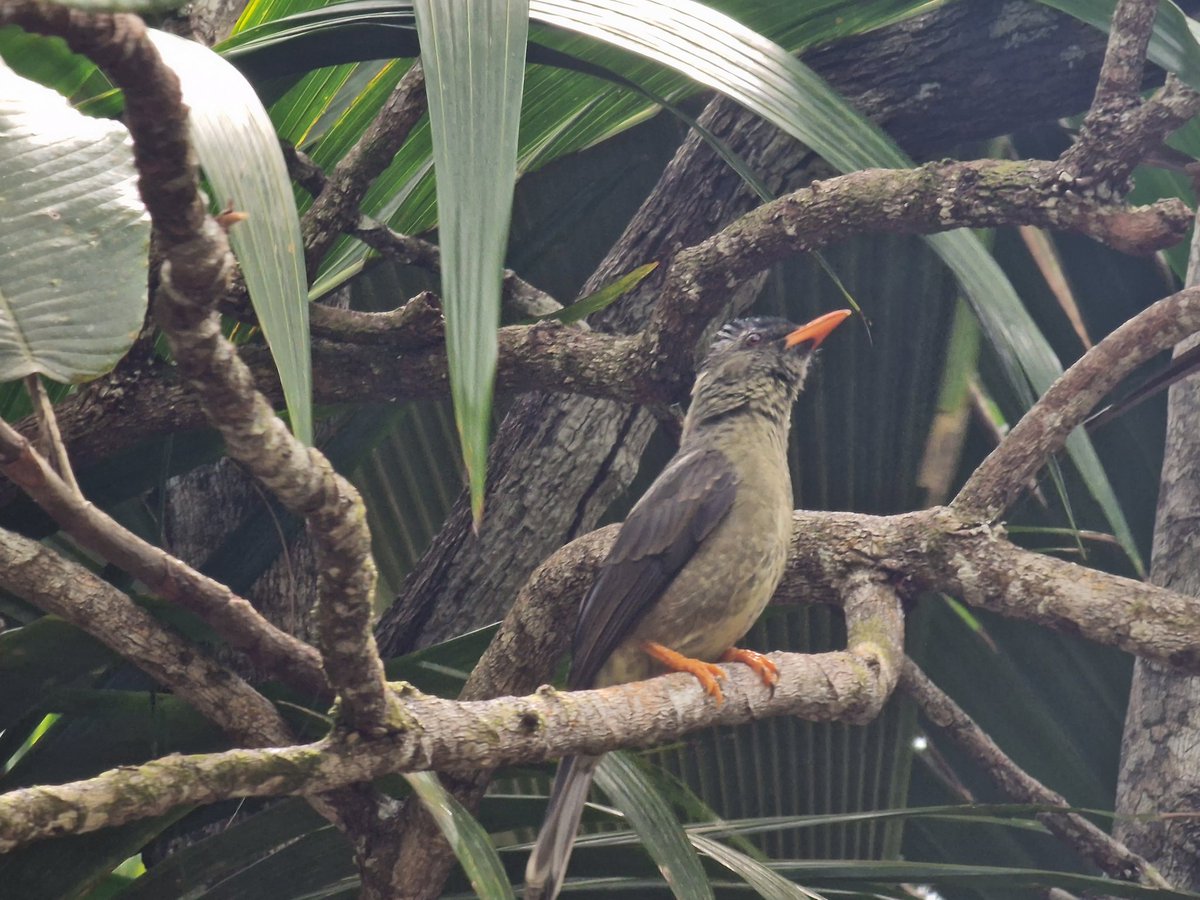 Tadeja Kuhar tweet media