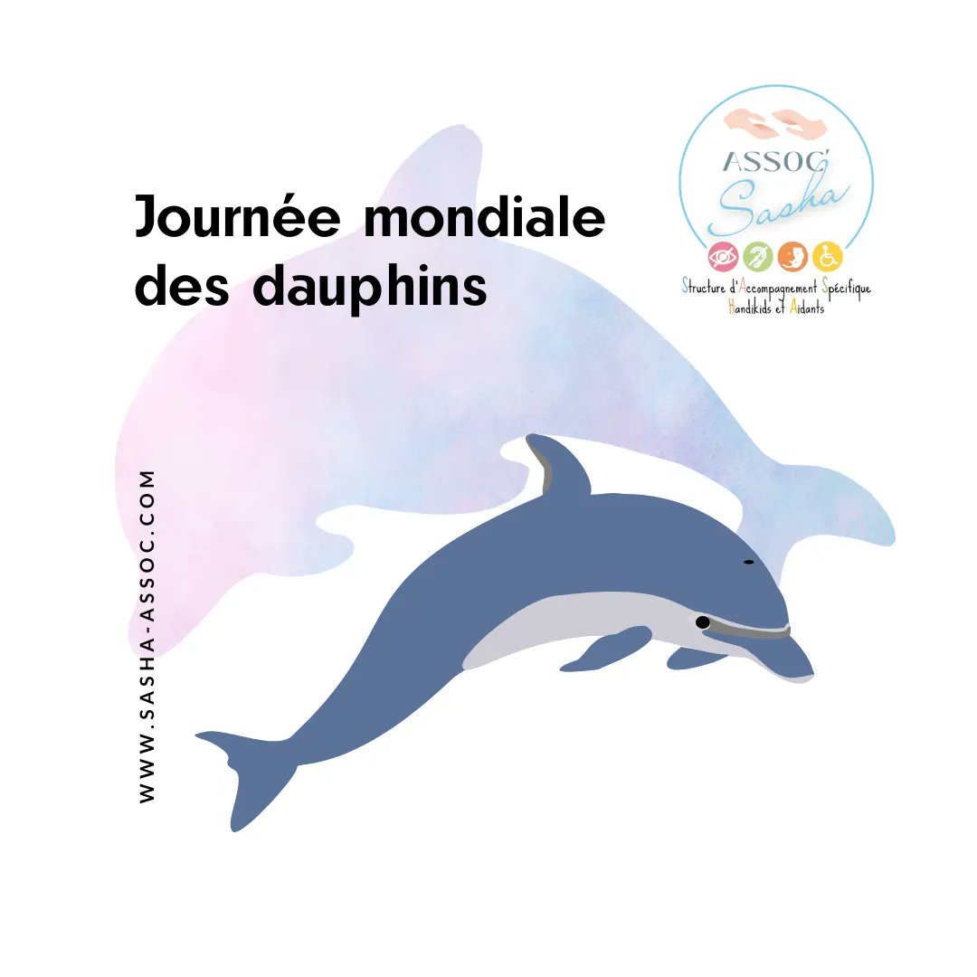 🐬🌍 Réduisons le plastique, et promouvons des pratiques de pêche durables. Respectons leur espace et évitons toute interaction qui pourrait perturber leur comportement naturel. #JournéeMondialeDesDauphins #ProtectionDesOcéans #BiodiversitéMarine #AmourPourLesDauphins 🐬💙🌊