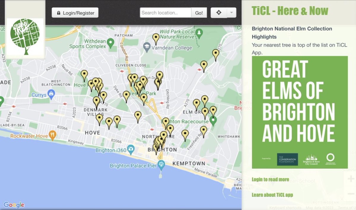 TiCLme's tweet image. This is a map of the Great Elms of Brighton and Hove

ticl.me/Brighton/headl…

(you can enter ‘Brighton’ or ‘Hove’ if your browser asks for a location)

National Elm Collection @BrightonHoveCC @ConservationFdn @bhgsforum