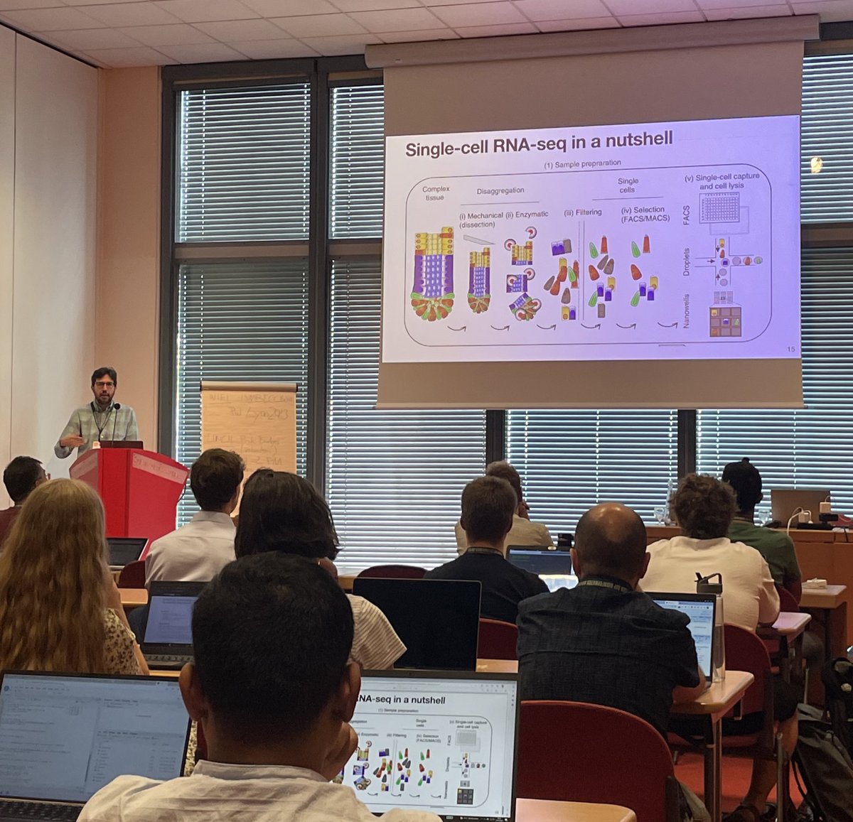 <a href="/Bioconductor/">Bioconductor</a> workshop for Orchestrating Single Cell Analysis is ON at #ISMBECCB2023 !

With <a href="/drisso1893/">Davide Risso</a>, <a href="/M2RUseR/">Marcel Ramos</a>, Ludwig Geinslinger, Ilaria Billato, Stefania Pirrotta
#bioconductor <a href="/rstatstweet/">Rstats</a> #singlecell