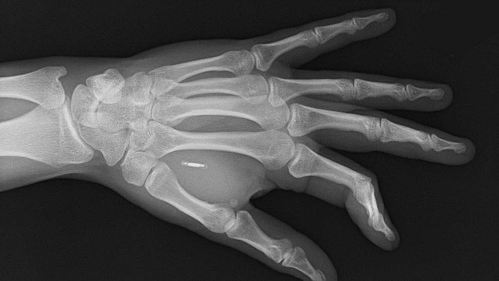 HéctorMOGU tweet media