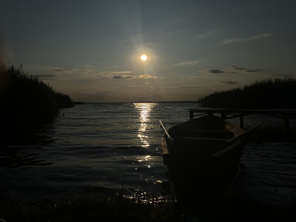 maxnell8's tweet image. 